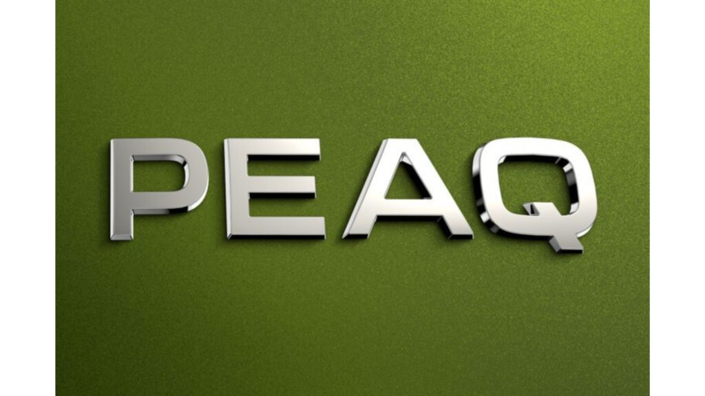 Škoda Peaq Flagship Electric Seven-Seater